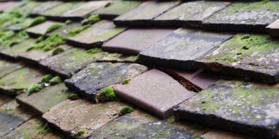 Cwmcych roof repair costs